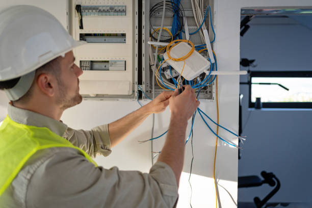 Best Electric Panel Repair  in Pauls Valley, OK